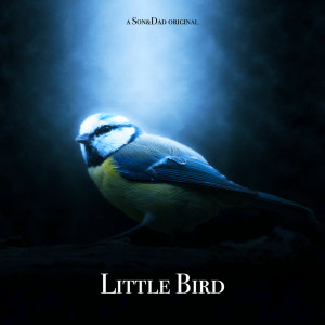 Album Little Bird from Son&Dad