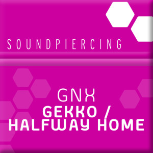 Listen to Halfway Home (Original Mix) song with lyrics from GNX