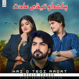 Listen to Hai O Tedi Aadat (Slow+Reverb Version) song with lyrics from Arslan Chandu