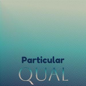 Various的专辑Particular Qual