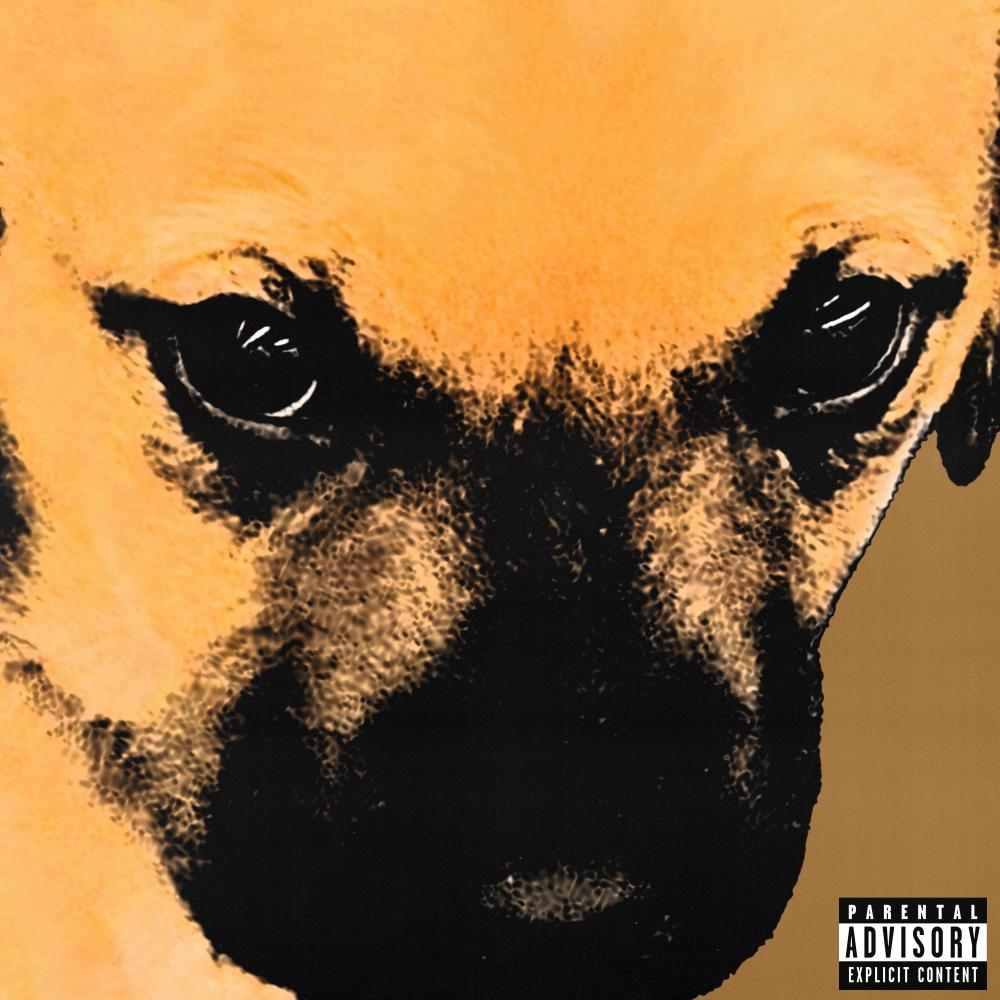 Drop Em (Explicit)