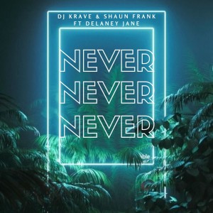 收听Dj Krave的Never歌词歌曲