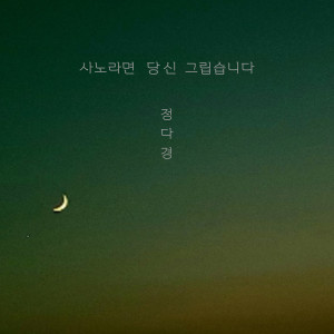 Album 사노라면 from 정다경