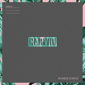 ดาวน์โหลดและฟังเพลง Spinnin' พร้อมเนื้อเพลงจาก Harvio