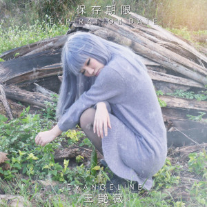 ดาวน์โหลดและฟังเพลง 保存期限 พร้อมเนื้อเพลงจาก 王艳薇