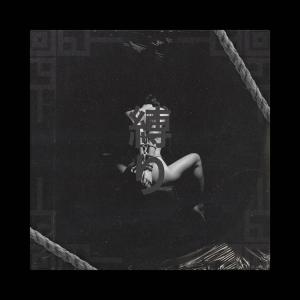 Listen to Shibari 缚り (Explicit) song with lyrics from Cicch