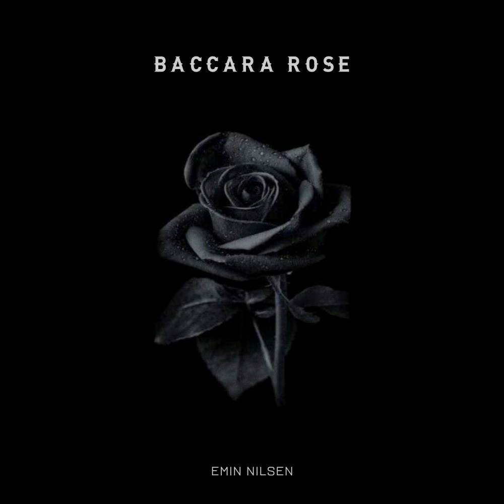 Baccara Rose