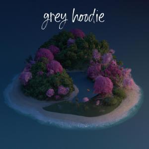 Album grey hoodie from Virdeponte