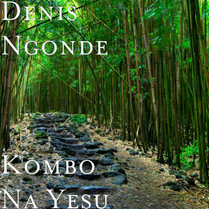 Listen to Nkolo Kumisama song with lyrics from Denis Ngonde