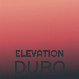 Various Artists的專輯Elevation Duro