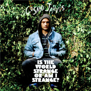 ดาวน์โหลดและฟังเพลง Gay Pirates พร้อมเนื้อเพลงจาก Cosmo Jarvis