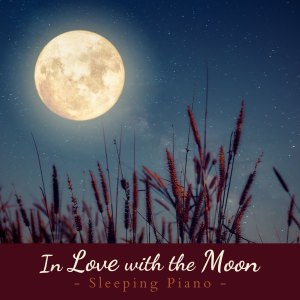收聽Relaxing BGM Project的Feel the Full Moon歌詞歌曲