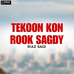 Album Tekoon Kon Rook Sagdy from Riaz Saqi