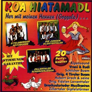 Listen to Uamol auffi, uamol obi song with lyrics from Original Zillertaler