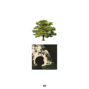 Dengarkan lagu Love Is (Explicit) nyanyian Trapo dengan lirik
