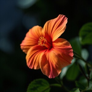 Yolanda的专辑Gerhana bulan