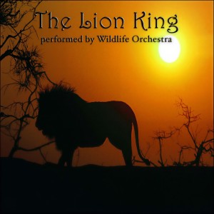 ดาวน์โหลดและฟังเพลง Can You Feel The Love Tonight พร้อมเนื้อเพลงจาก Wildlife Orchestra