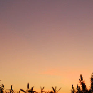 收聽Relajacion Del Mar的Fortress歌詞歌曲