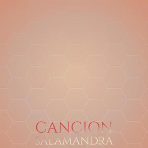 Listen to Feliz Ancora song with lyrics from Aart Rigon