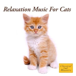 收聽The Cat Whisperer的Peaceful Feline歌詞歌曲