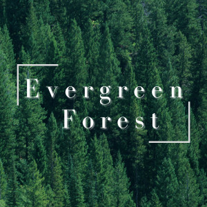 Dengarkan Always in the Green lagu dari Relaxing BGM Project dengan lirik