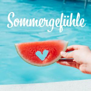 Various Artists的專輯Sommergefühle 2022 (Explicit)