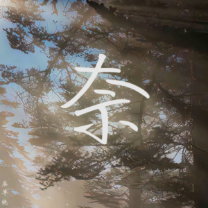 Listen to 奈 (其他) song with lyrics from 辰单纯
