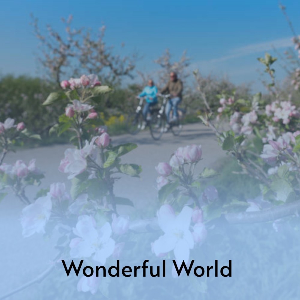 Wonderful World