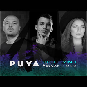 Album Du-Te, Vino from Puya