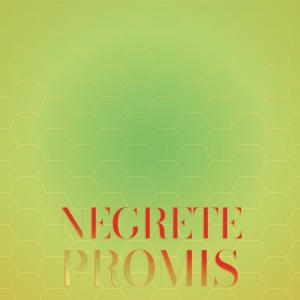 Album Negrete Promis from Various