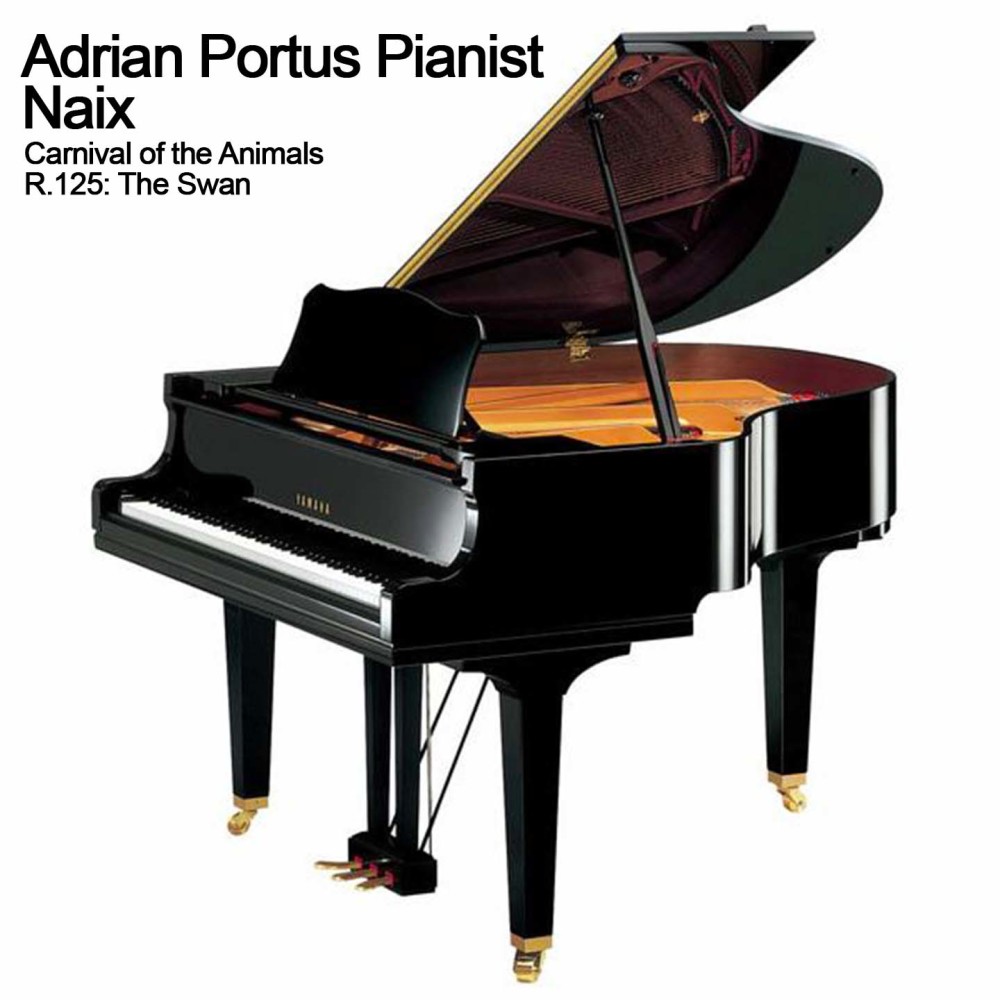 "The Swan" (Arr. for Piano)
