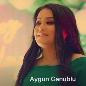 Listen to Bir Nefer song with lyrics from Aygun Cenublu