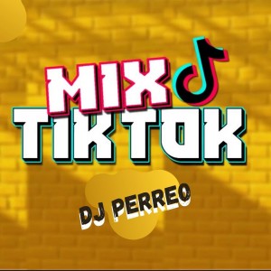 Listen to Mix Tik Tok (Raka Taka Taka, Baila Como Twerk, Safaera, Yo Perreo Sola, Tra Tra) song with lyrics from Dj Perreo