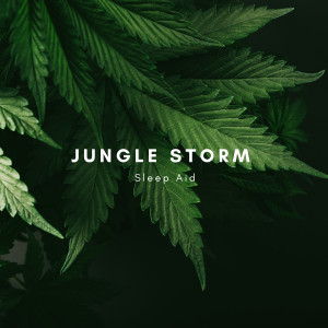 Nature Sound Collection的專輯Jungle Storm Sleep Aid