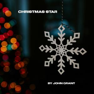 John Grant的專輯Christmas Star