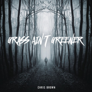 收聽Chris Brown的Grass Ain't Greener歌詞歌曲