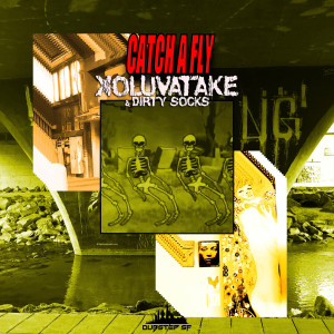 ดาวน์โหลดและฟังเพลง Catch a Fly (Original Mix) พร้อมเนื้อเพลงจาก Dirty Socks