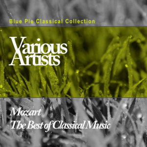 ดาวน์โหลดและฟังเพลง The Serenade for Orchestra No. 6 in D Major, K. 239: I. Menuetto พร้อมเนื้อเพลงจาก Armonie Symphony Orchestra