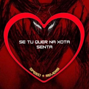 Album Se Tu Quer na Xota Senta (Speed + Reverb) (Explicit) from Love Fluxos