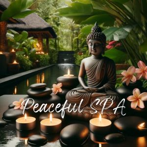Tranquility Spa Center的專輯Peaceful SPA and Tranquil Atmosphere (Unwind and Rejuvenate in Serene Surroundings)
