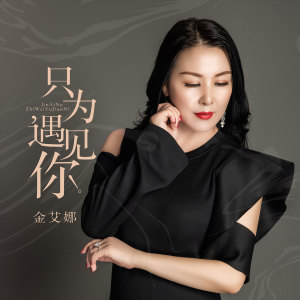 Listen to 只为遇见你 (伴奏) song with lyrics from 金艾娜