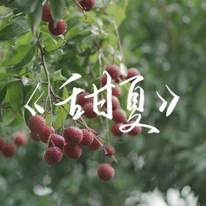收听BenHo何艺斌的甜夏 (完整版)歌词歌曲