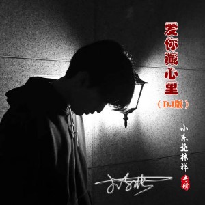 Listen to 爱你藏心里（DJ版） (完整版) song with lyrics from 小东北