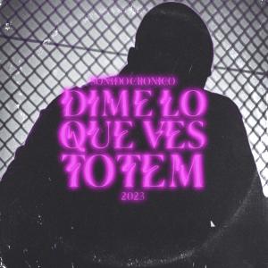 Album Dime lo que ves (Explicit) oleh Totem