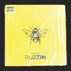 Album Buzzin (Explicit) from Darius