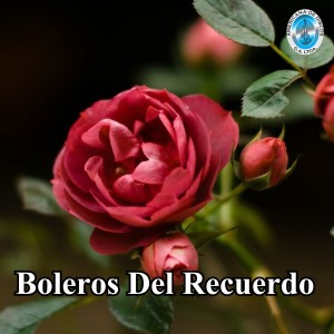 Album Boleros del Recuerdo from 