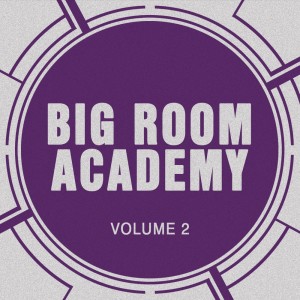 Album Big Room Academy, Vol. 2 from Big Room Academy