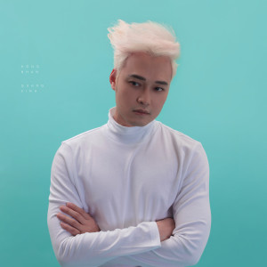 收聽Quang Vinh的Hồng Nhan歌詞歌曲