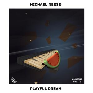 收听Michael Reese的Playful Dream歌词歌曲