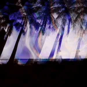 ดาวน์โหลดและฟังเพลง Tropical Dreaming พร้อมเนื้อเพลงจาก Solid Groove